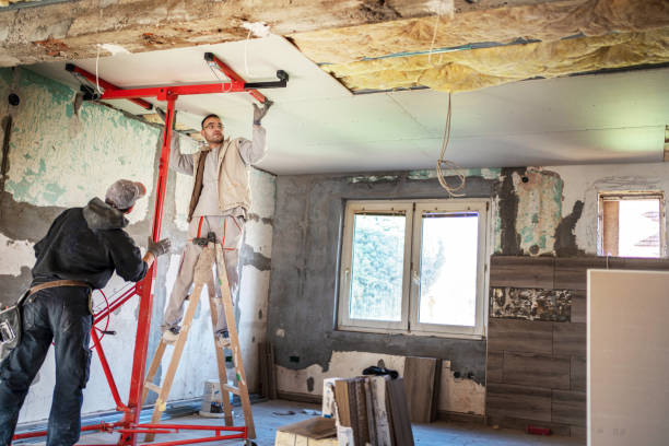 Best Specialized Insulation Services in Kincaid, IL