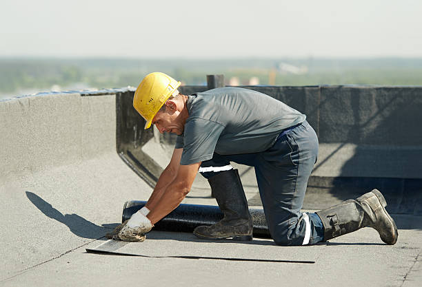 Best Insulation Maintenance and Repair in Kincaid, IL